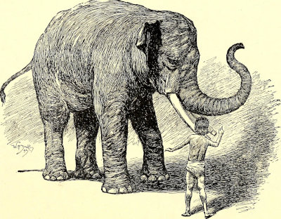 The jungle book 2 400